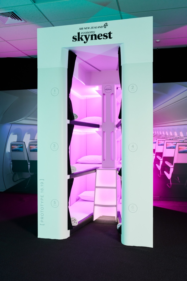 Air New Zealand Reveals Bunk Beds For Economy Passengers Curly Tales