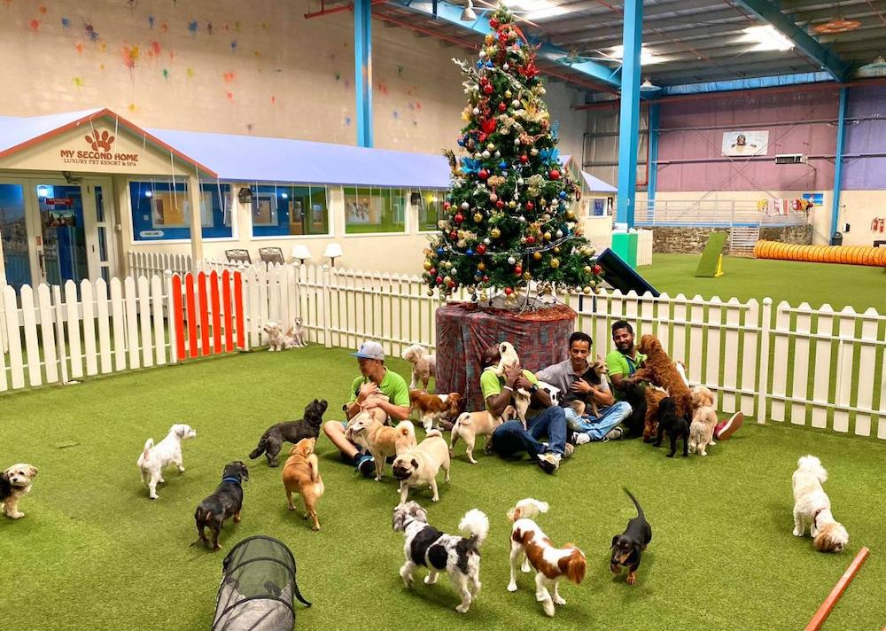 my second home dubai Sylvie Pinkston