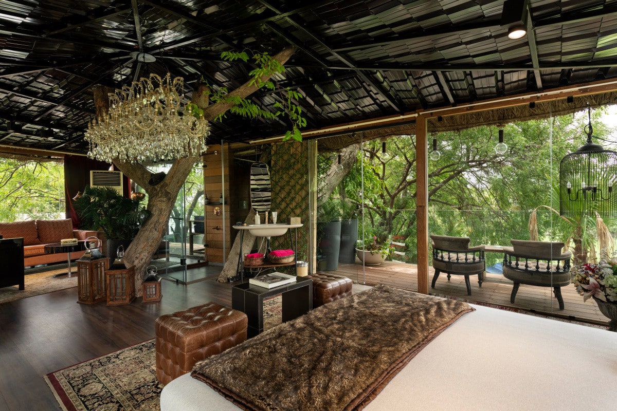 The Tree House Right In The Heart Of Delhi Will Remind You Of A Hill Station Curly Tales