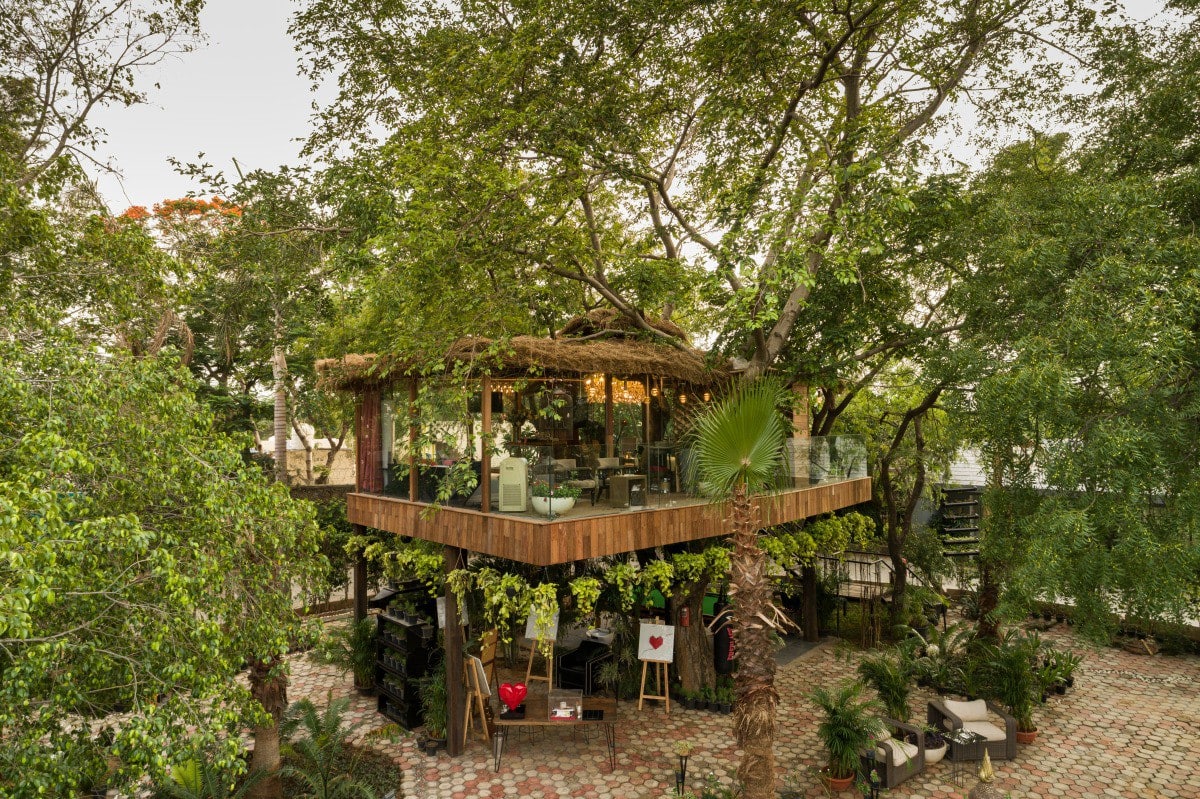 The Tree House Right In The Heart Of Delhi Will Remind You Of A Hill Station Curly Tales