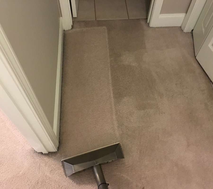 PROFESSIONAL CARPET CLEANING Carpet Cleaning Toccoa Ga.