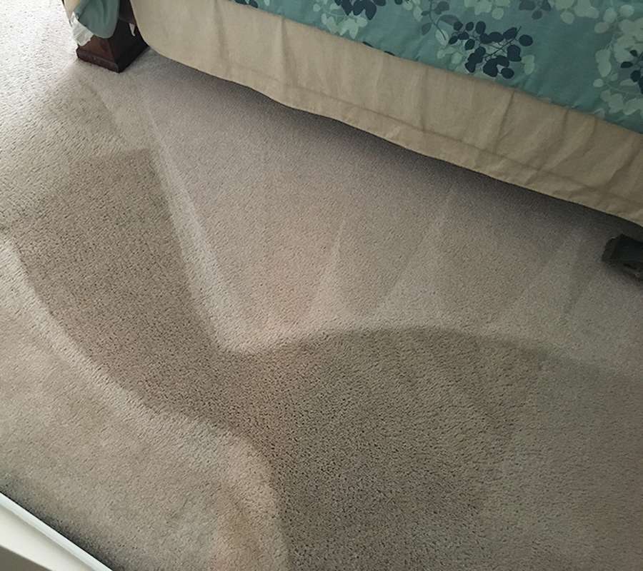 PROFESSIONAL CARPET CLEANING Carpet Cleaning Toccoa Ga.