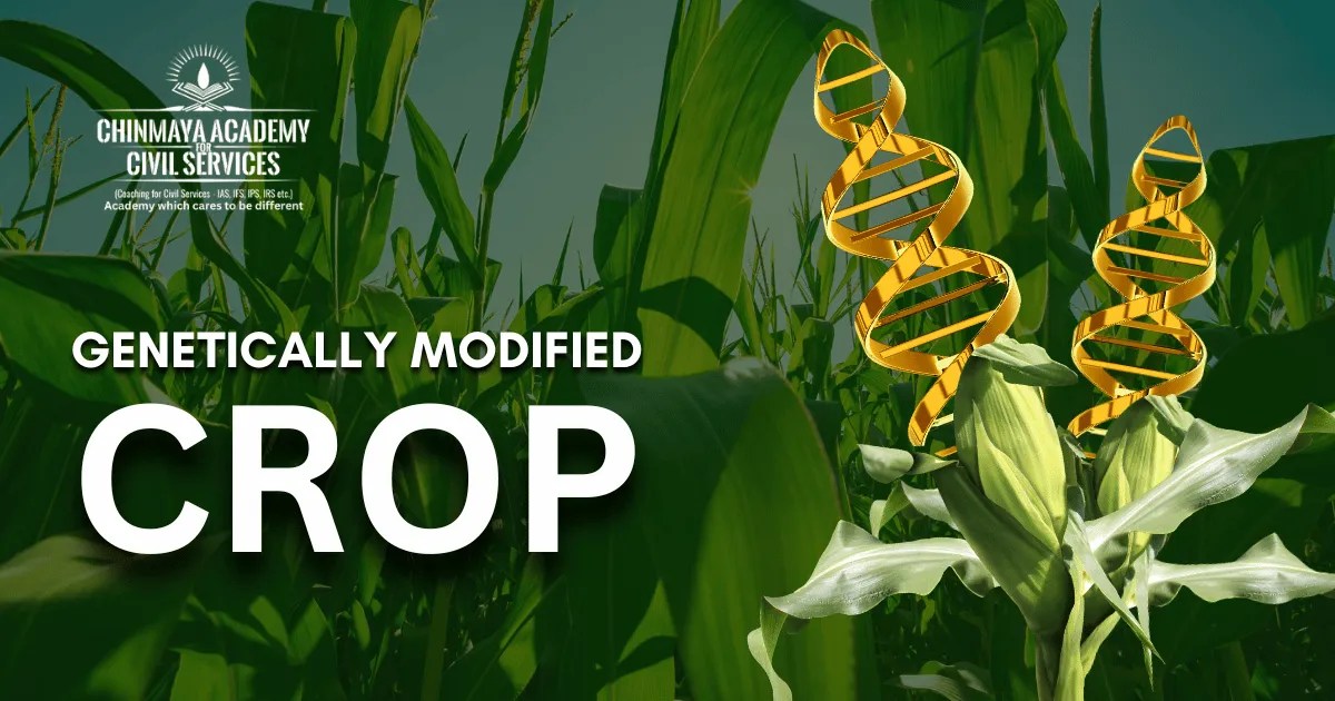 Modified Crop Chinmaya IAS Academy Current Affairs
