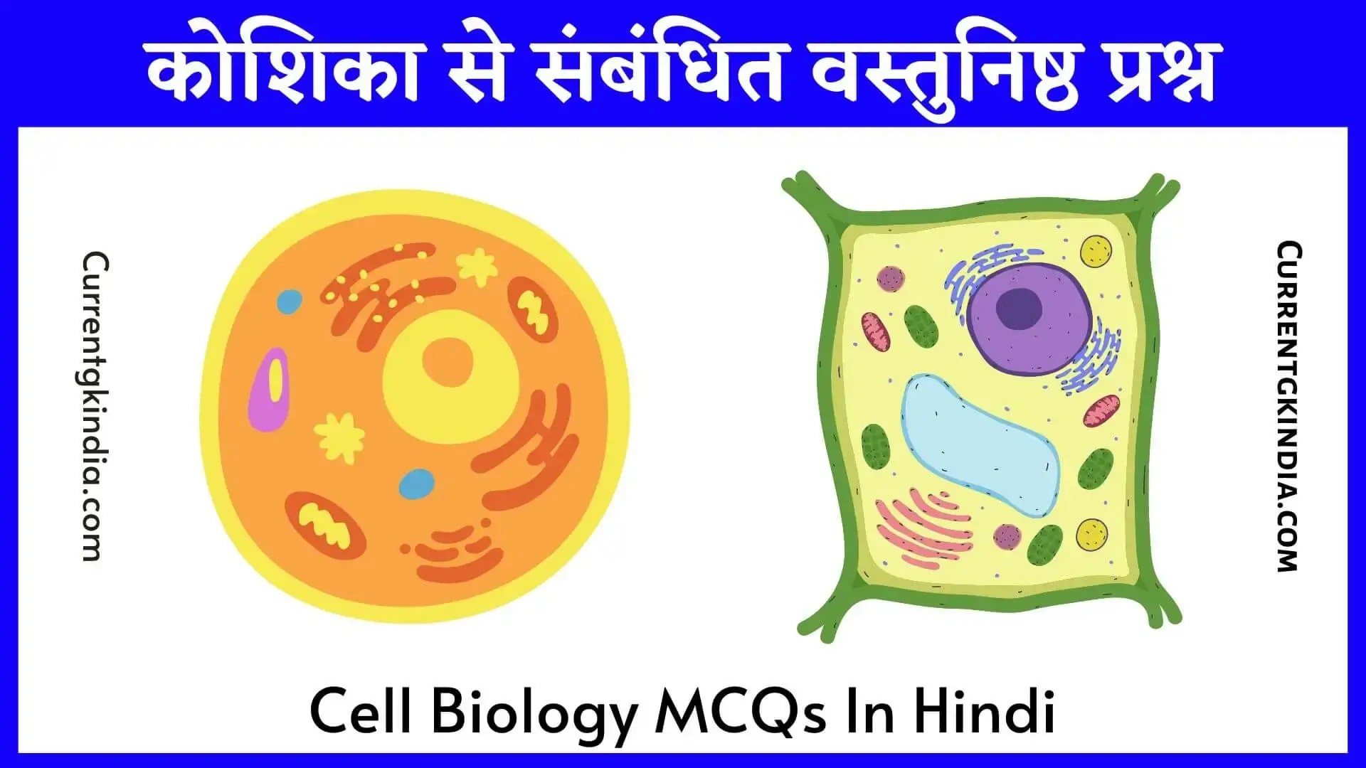 68+ Cell Biology MCQs In Hindi कोशिका से संबंधित वस्तुनिष्ठ प्रश्न