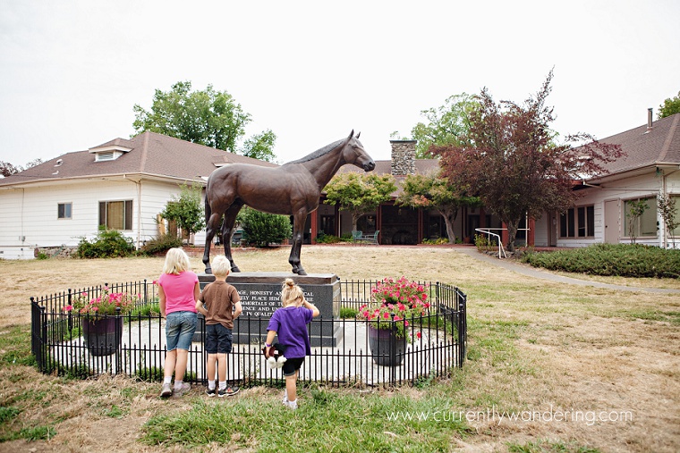 Seabiscuit & Redwood Ranch Willits, CA Currently Wandering