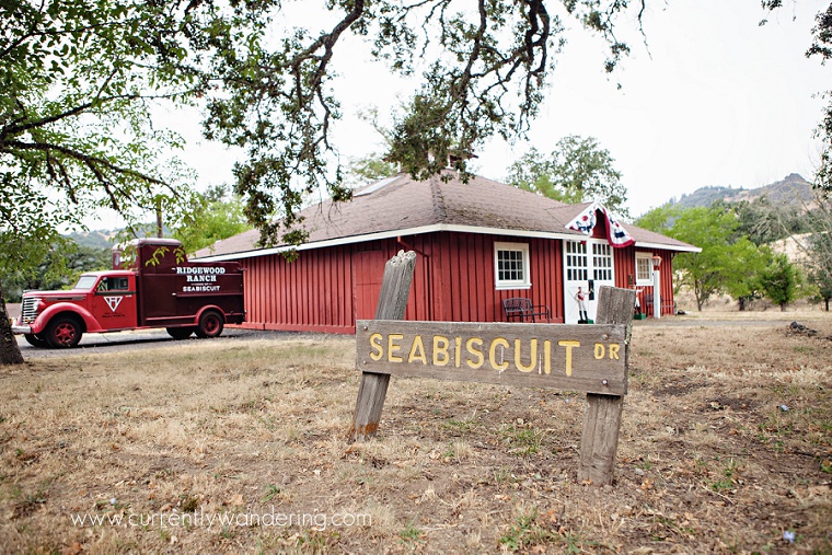 Seabiscuit & Redwood Ranch Willits, CA » Currently Wandering