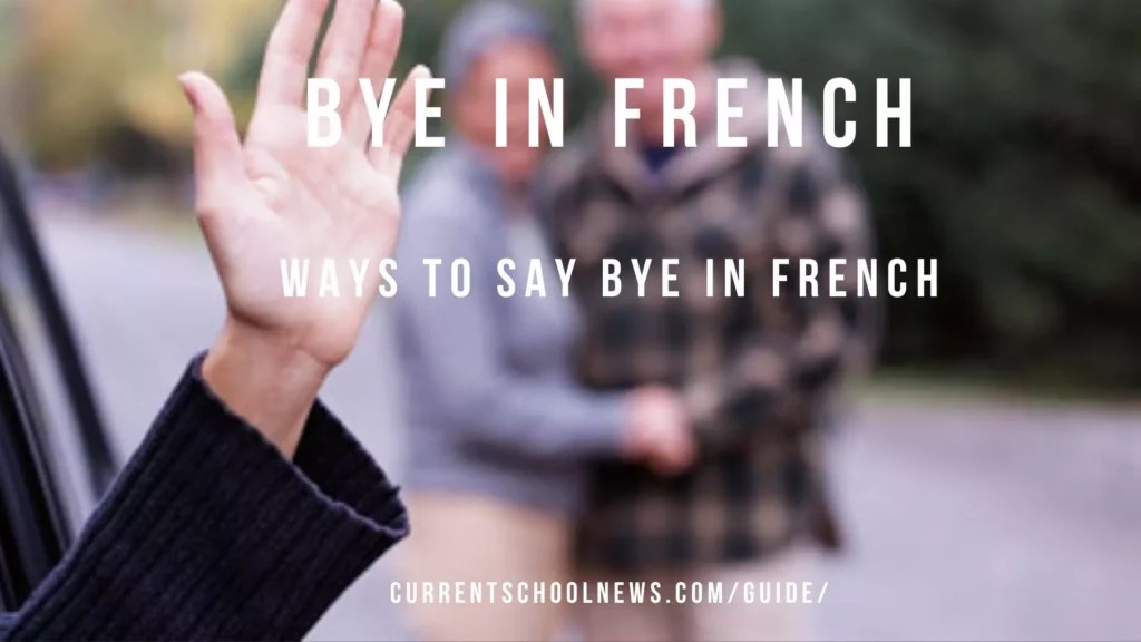 Bye in French Learn France Language