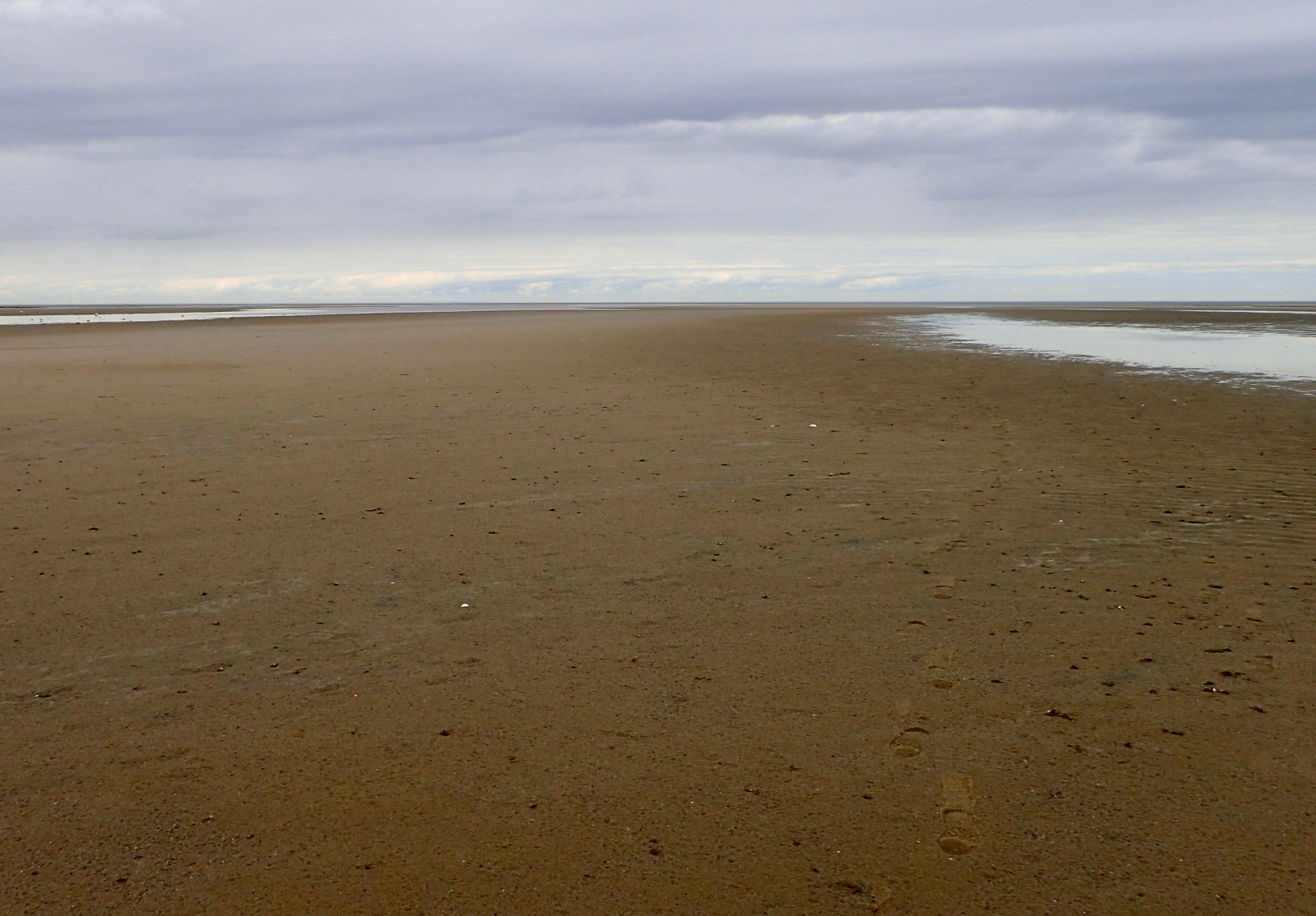 fly fishing Brewster flats «