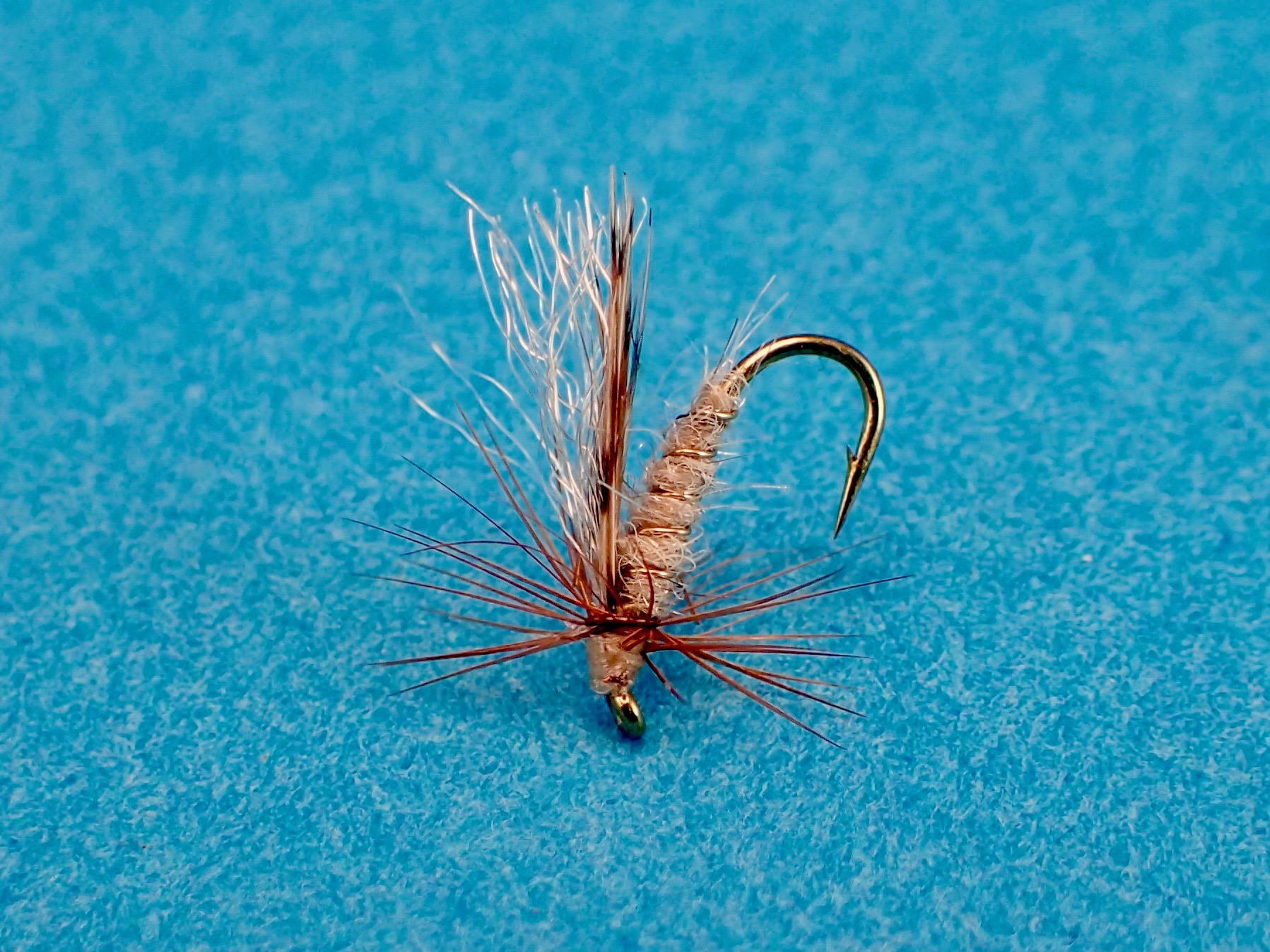 In just one month, LaFontaine’s Diving Caddis wet fly is already paying