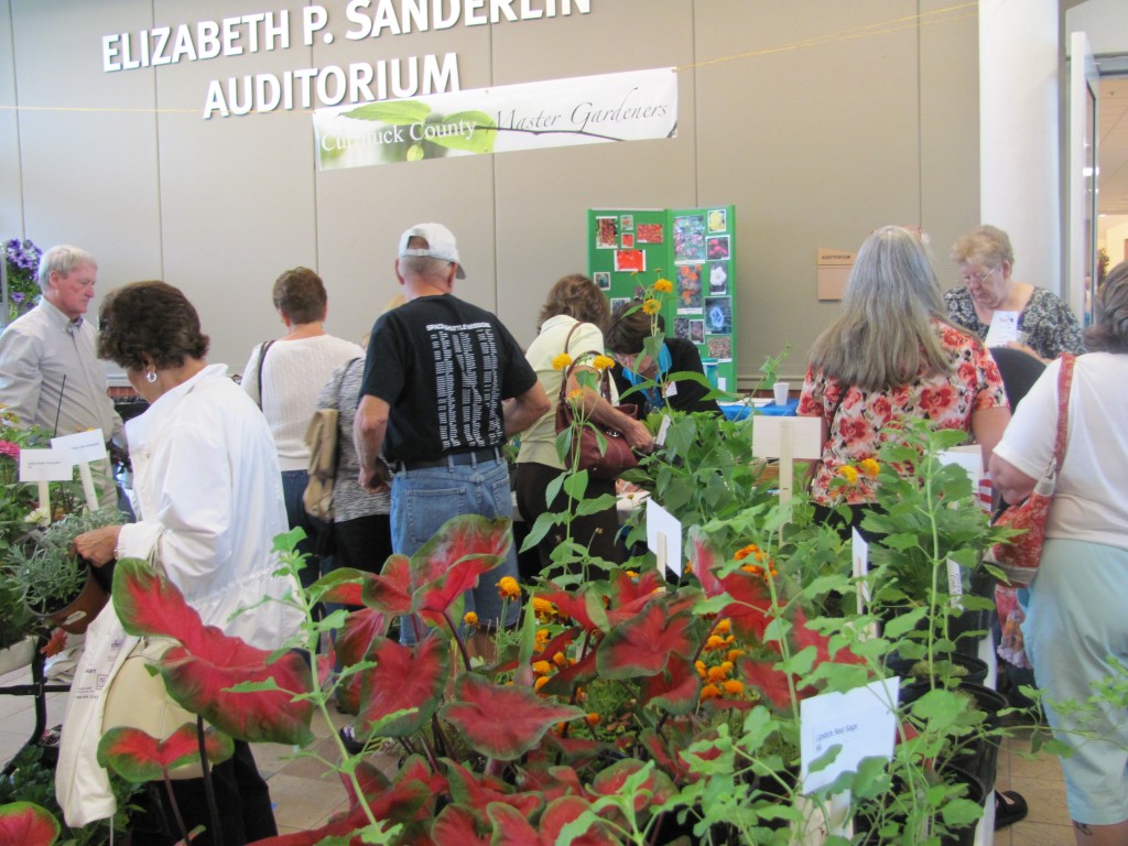 Currituck Home, Flower and Garden Show North Carolina Cooperative