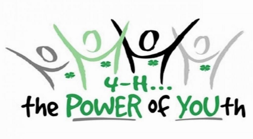 Why Choose 4H? North Carolina Cooperative Extension