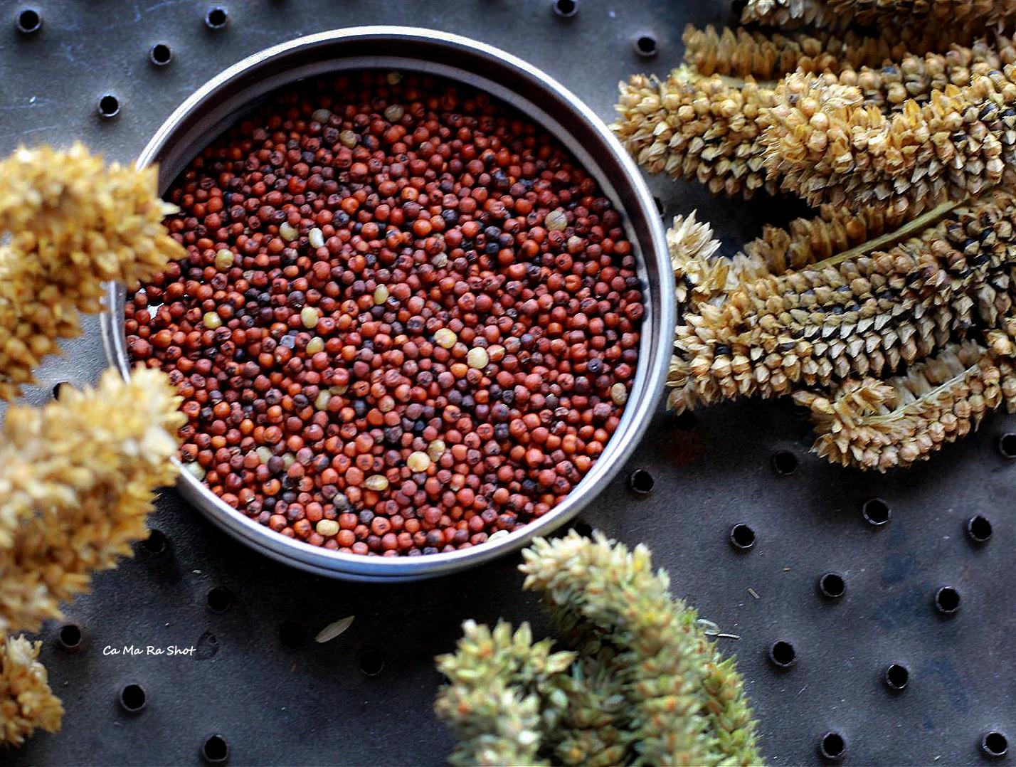 Millets Demystifying the grain Currylines Caroline's