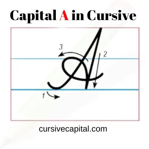How to Write a Capital A in Cursive? (Capital Cursive A)