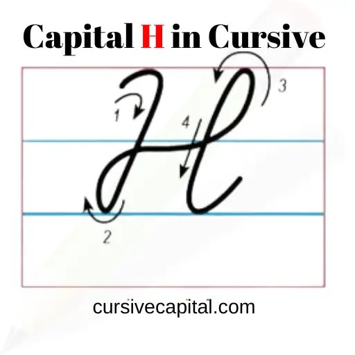 Cursive Letters Alphabet - Cursive Capital