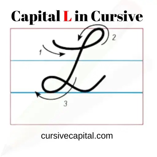 How to Write Capital L in Cursive? (Capital Cursive L)