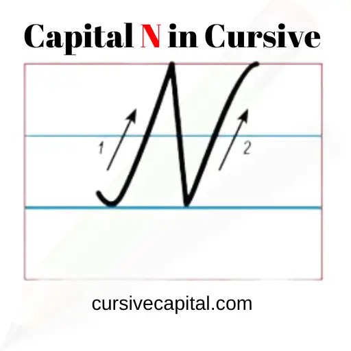 Capital N in Cursive Worksheet and Tutorial