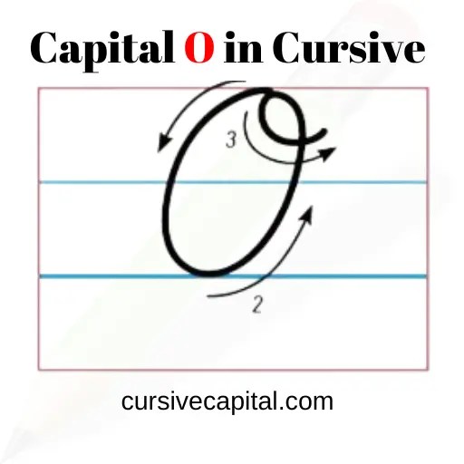 How to Write Capital O in Cursive? (Capital Cursive O)