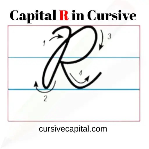 Capital R in Cursive Worksheet and Tutorial