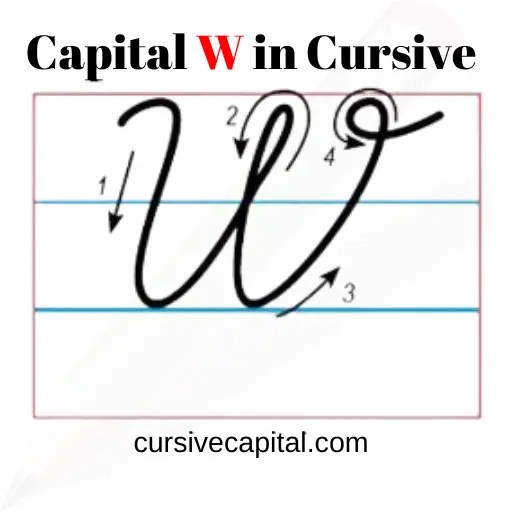 Cursive Letters Alphabet - Cursive Capital