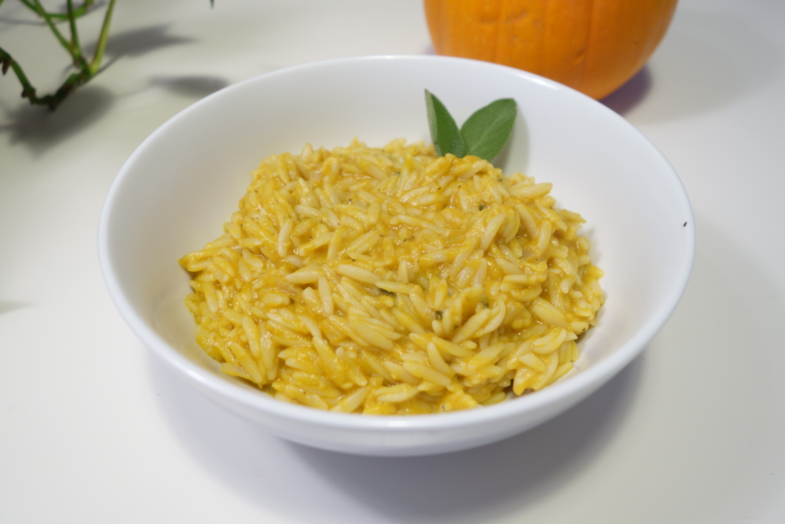 A Recipe for Pumpkin Orzo the cursory cook.