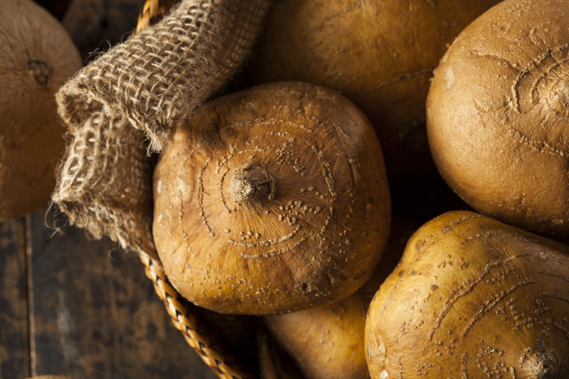 Propiedades de la jicama Cursos Online 