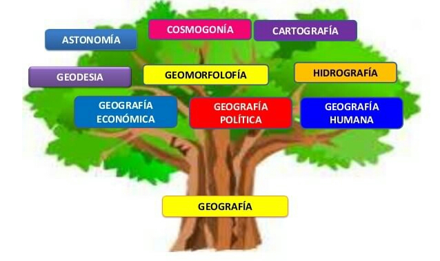 Ramas de la Geografía
