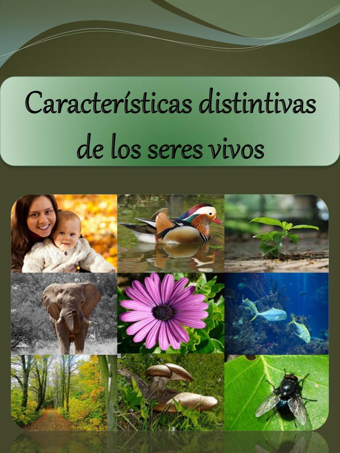 Características distintivas de los seres vivos