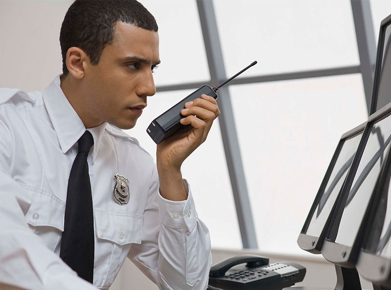 Employment Curtis Protective Services