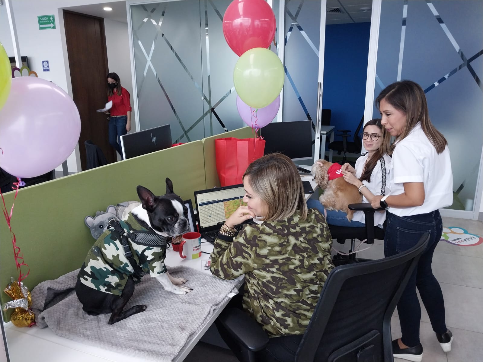 “Pets at Work” de Purina, Nestlé El Salvador Noticias de El Salvador Cuscatlán Hoy