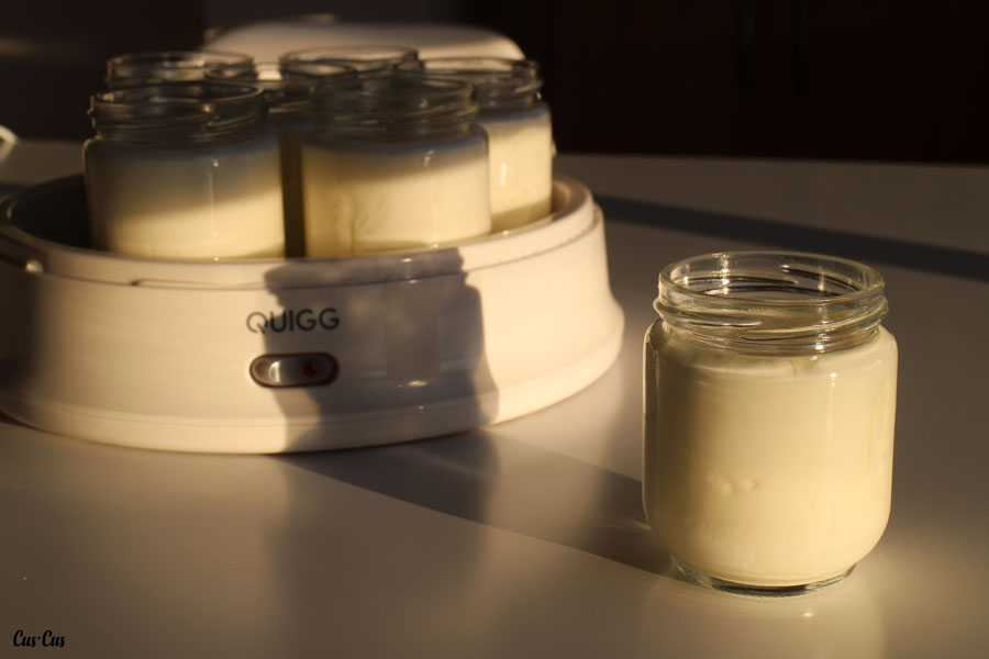 ≫ Yogurtera Quigg Aldi > Comprar, Precio y Opinión 2022