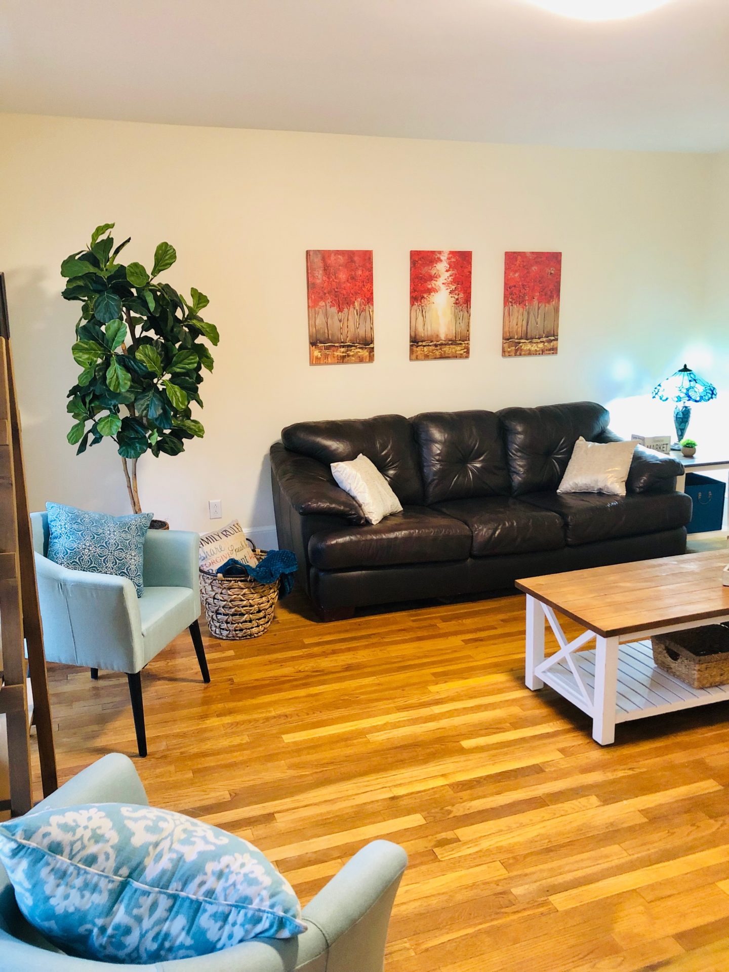 Beautiful House in Syracuse, NY Fully Furnished in Hawley/Green 4