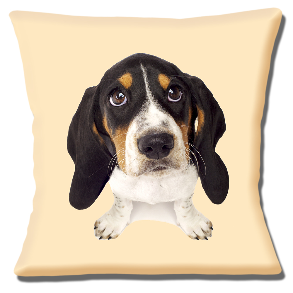 Basset Hound Puppy Dog Cushion or Cushion Cover Looking Up Cream
