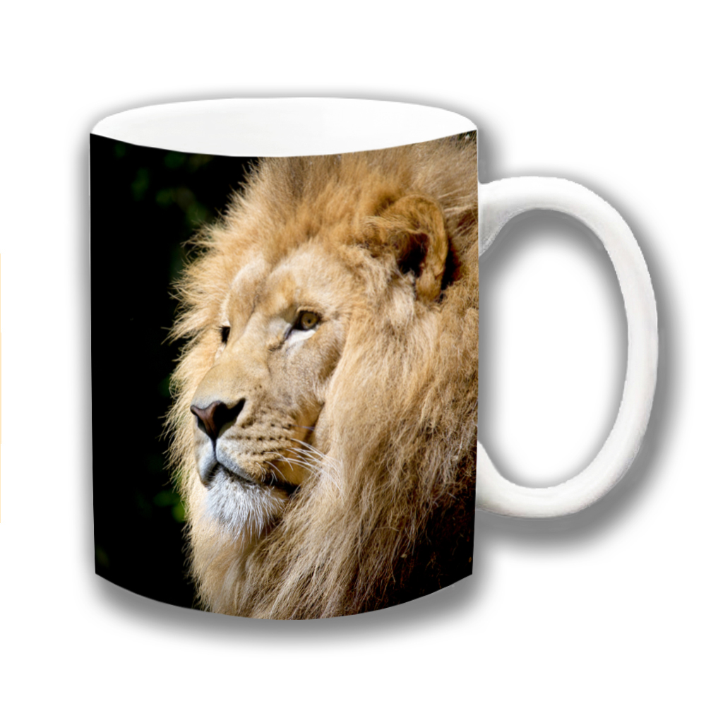 Lion Coffee Mug Wildlife Animal Male King of the Jungle