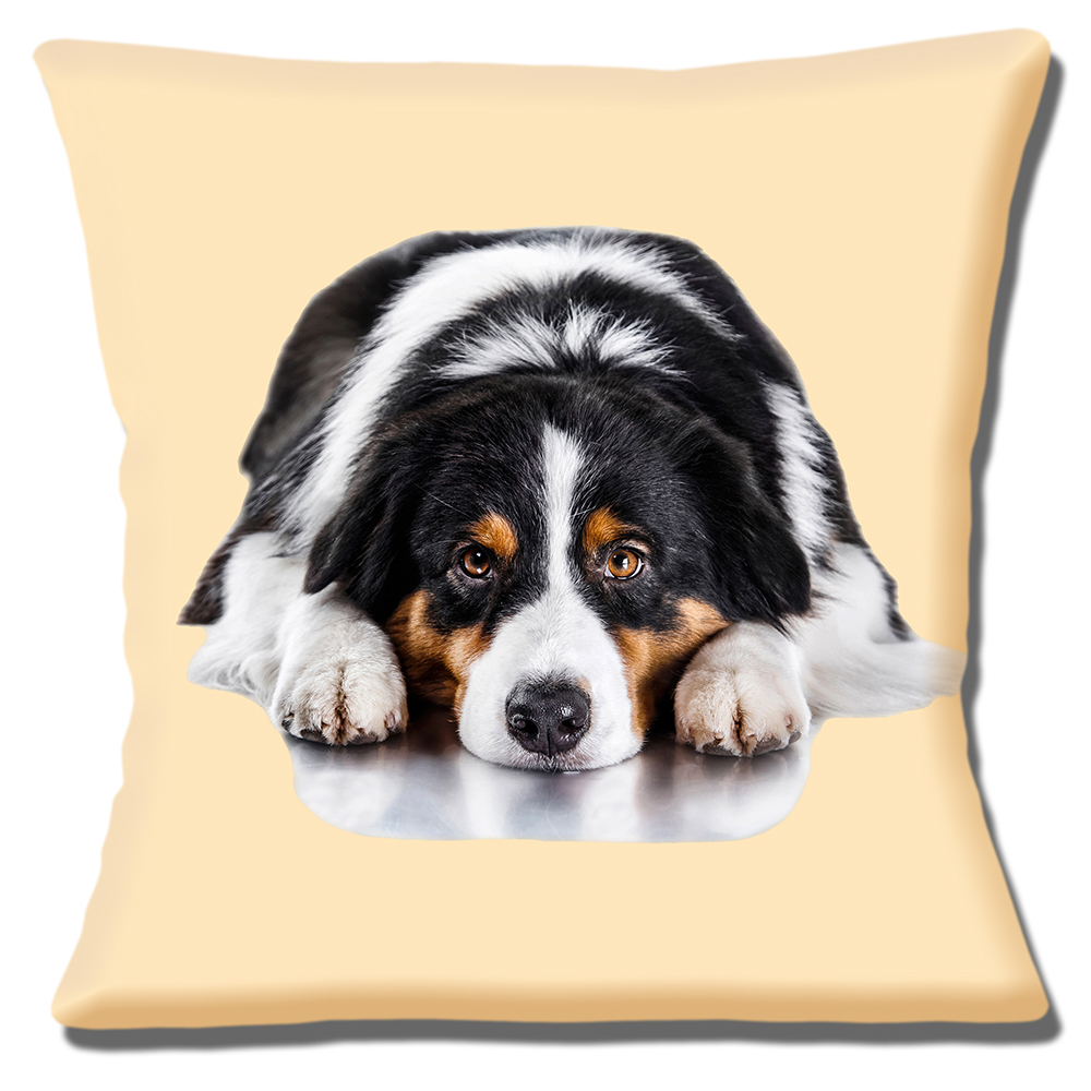 Australian Shepherd Dog Cushion or Cushion Cover White Black Tan