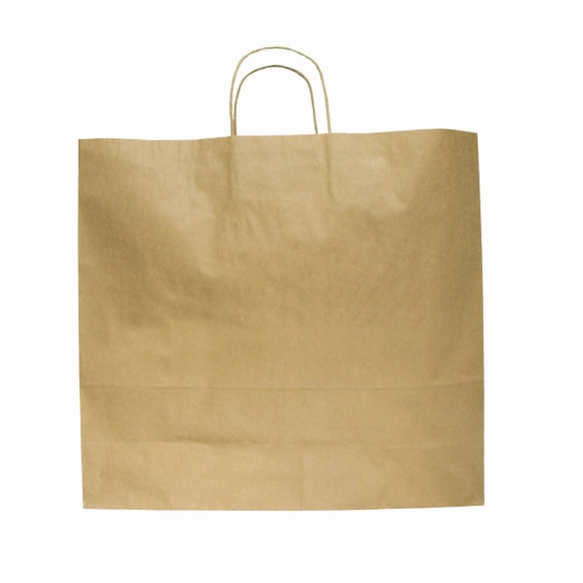 Kraft Paper Bag With Twisted Rope Handle (Large)