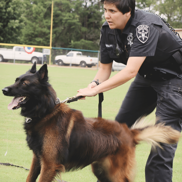 Multi Purpose K9 Handler Custom Canine Unlimited