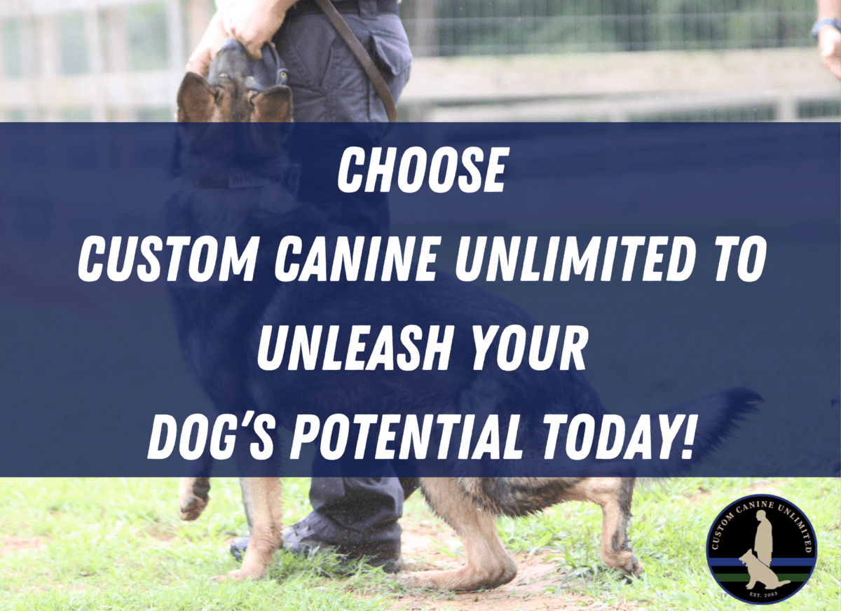 Unlock Your Dog's Potential Custom Canine Unlimited