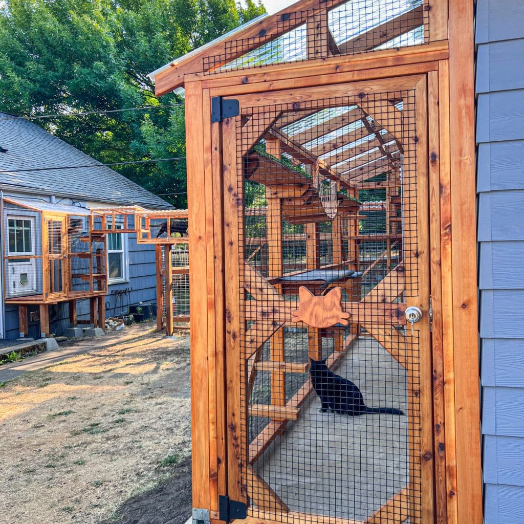 Custom Catios Custom Catios