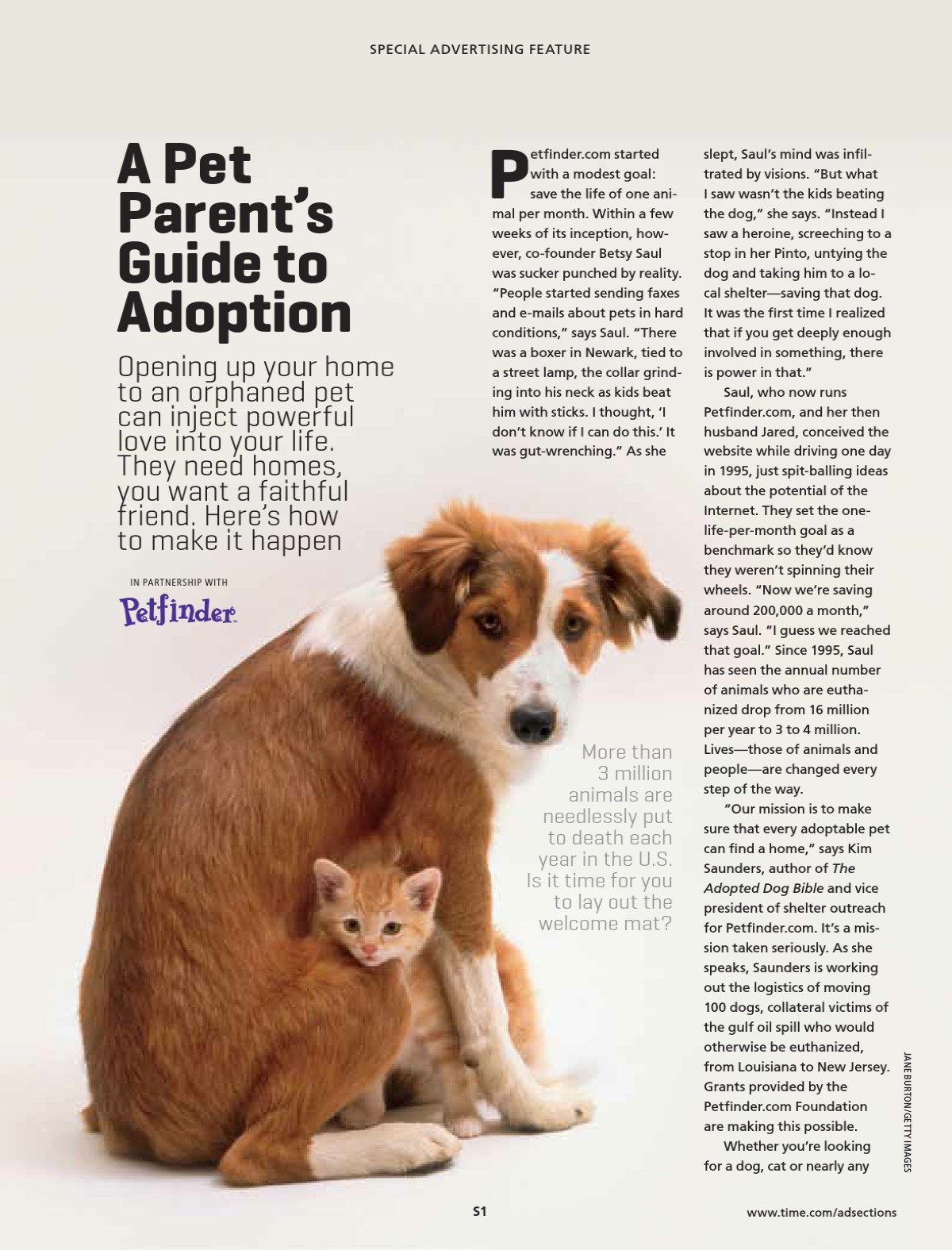 A Pet Parent's Guide to Adoption Fortune Media
