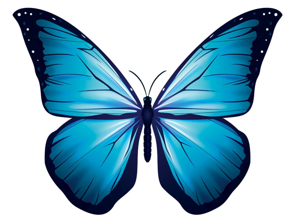 Blue Butterfly 2Vinyl Sticker Custom Decor