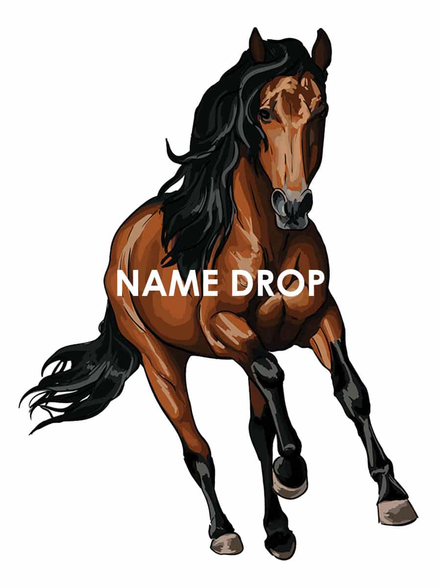 Running HorseName Drop Vinyl Sticker Custom Decor