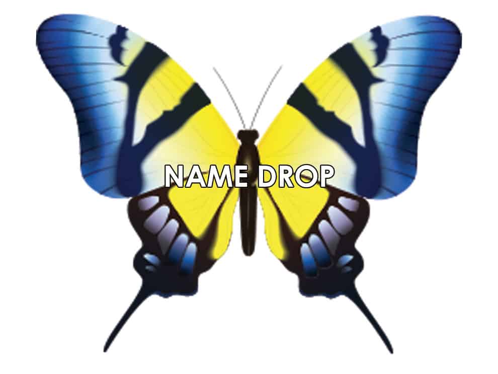 Blue and Yellow ButterflyName Drop Vinyl Sticker Custom Decor