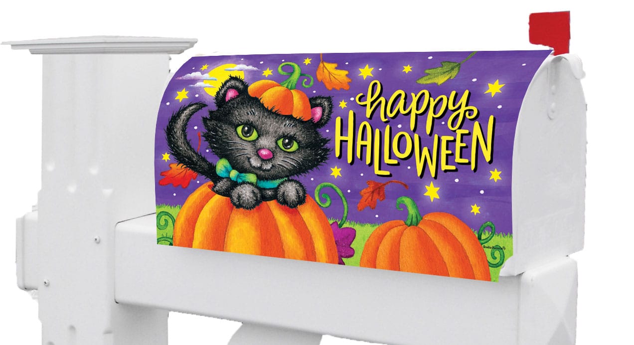 Halloween CatMailbox Makeover Custom Decor