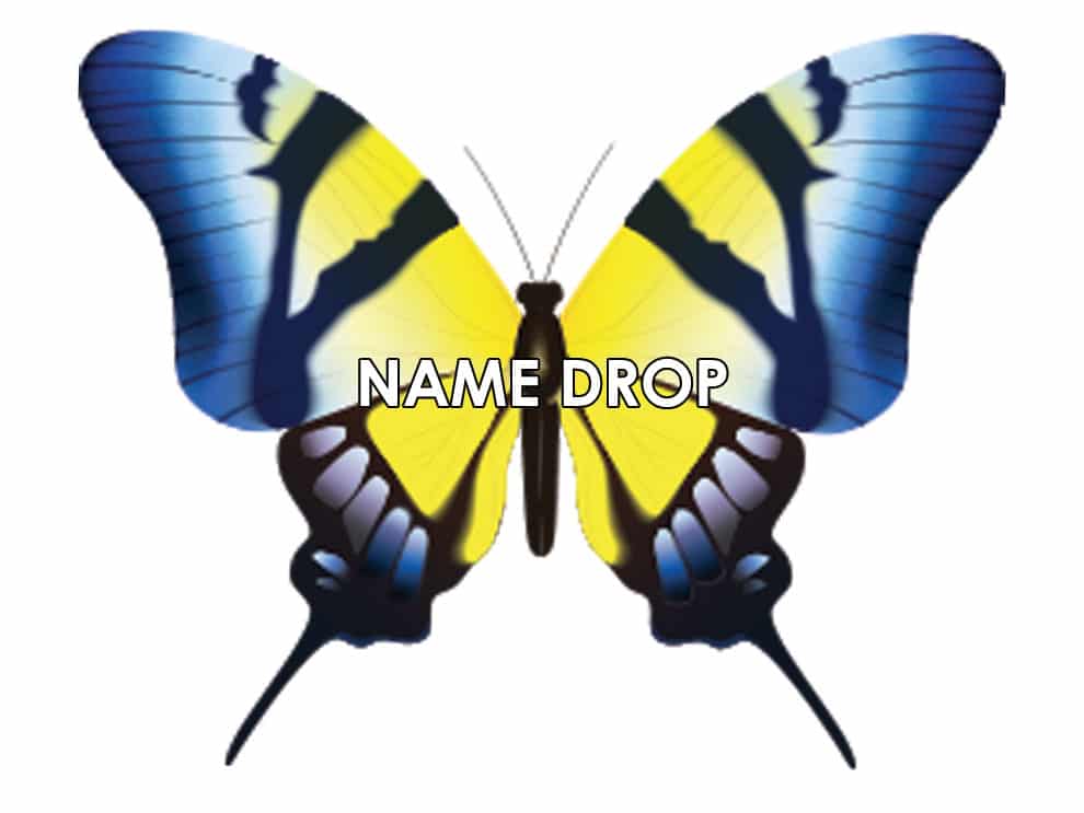 and Yellow Butterfly Custom Decor