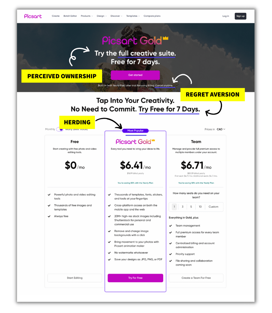 Picsart vs. Canva Customer Camp