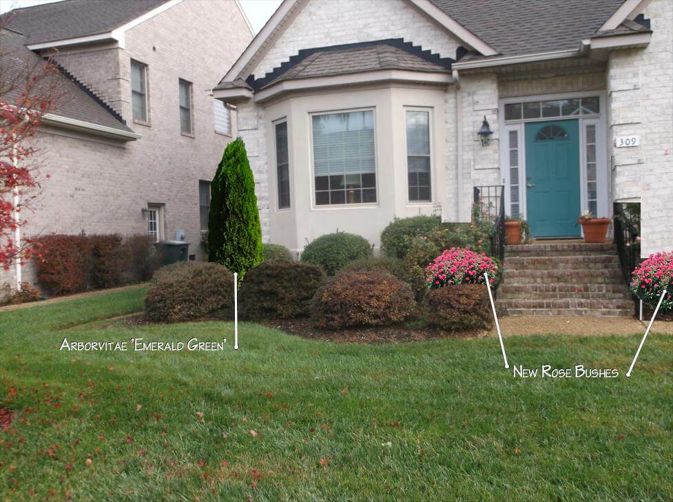 Landscaping Yorktown Custom Gardens