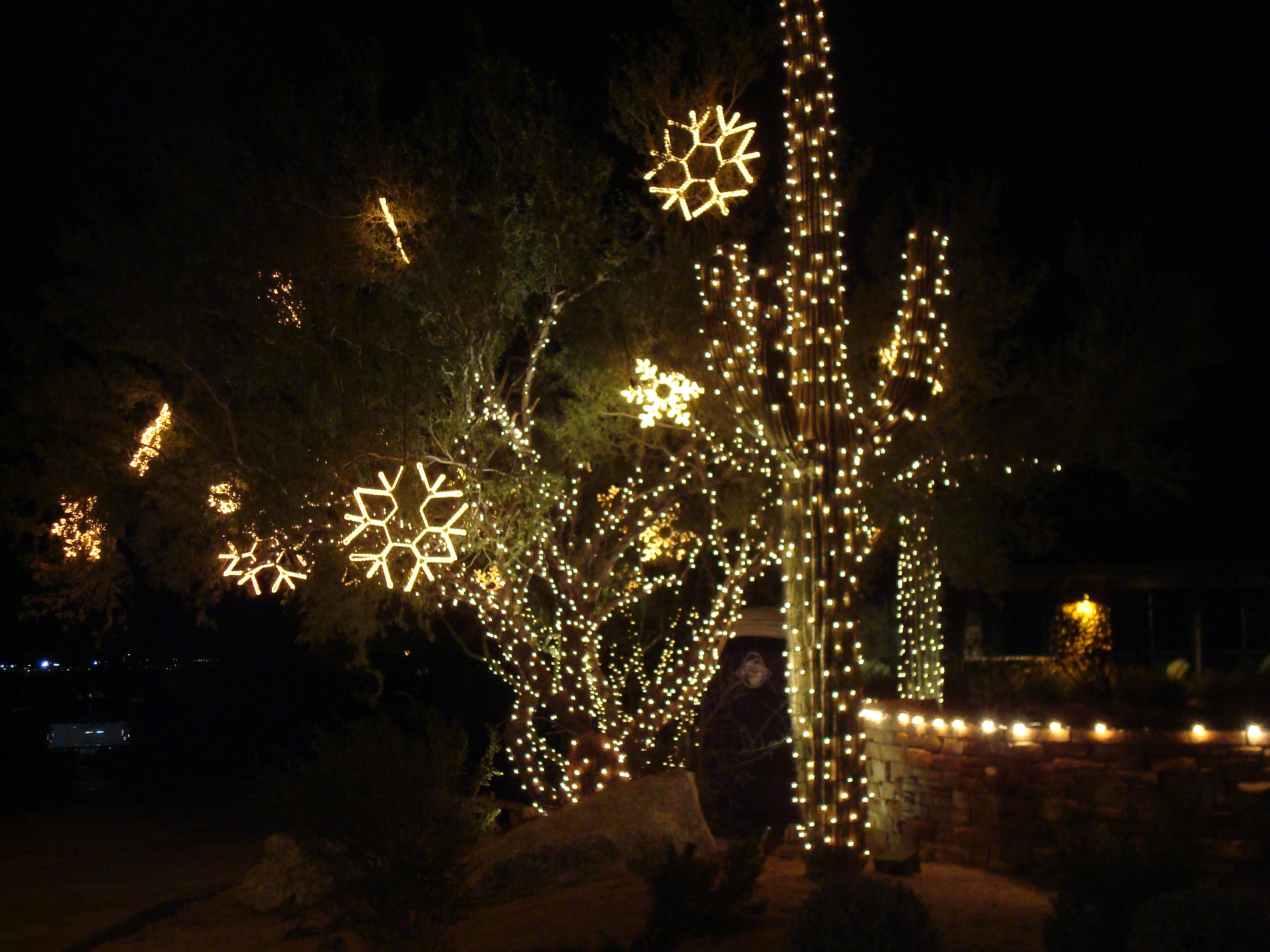 HOA Communities Custom Holiday Lighting Arizona