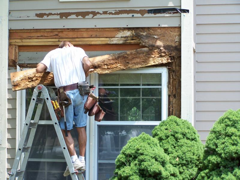 What Causes Wood Rot? Design Custom Homes of Madison
