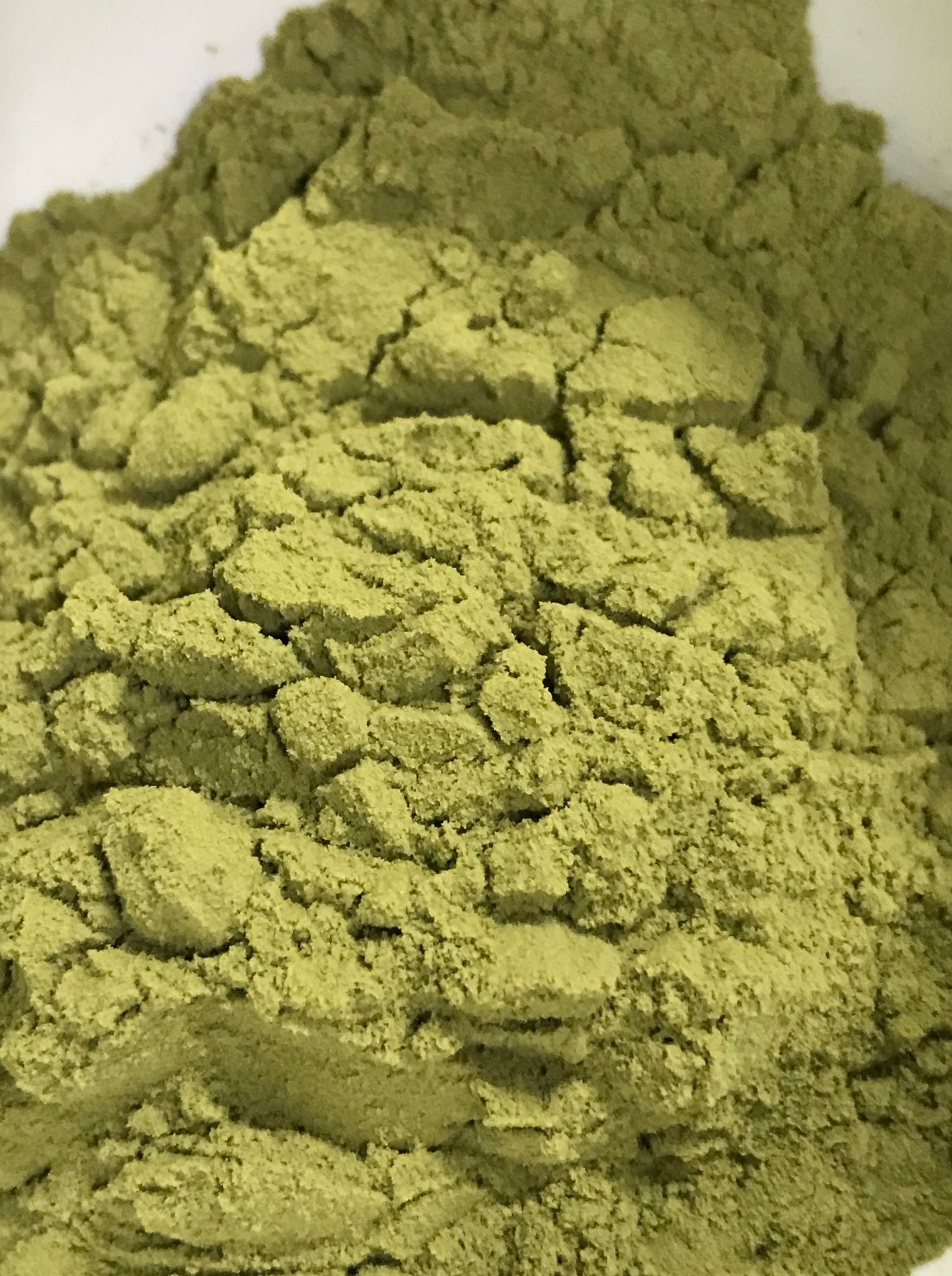 Cilantro 201 Extract Powder Customised Health Essentials