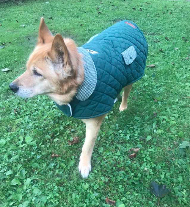 Our Work Custom K9 Coats